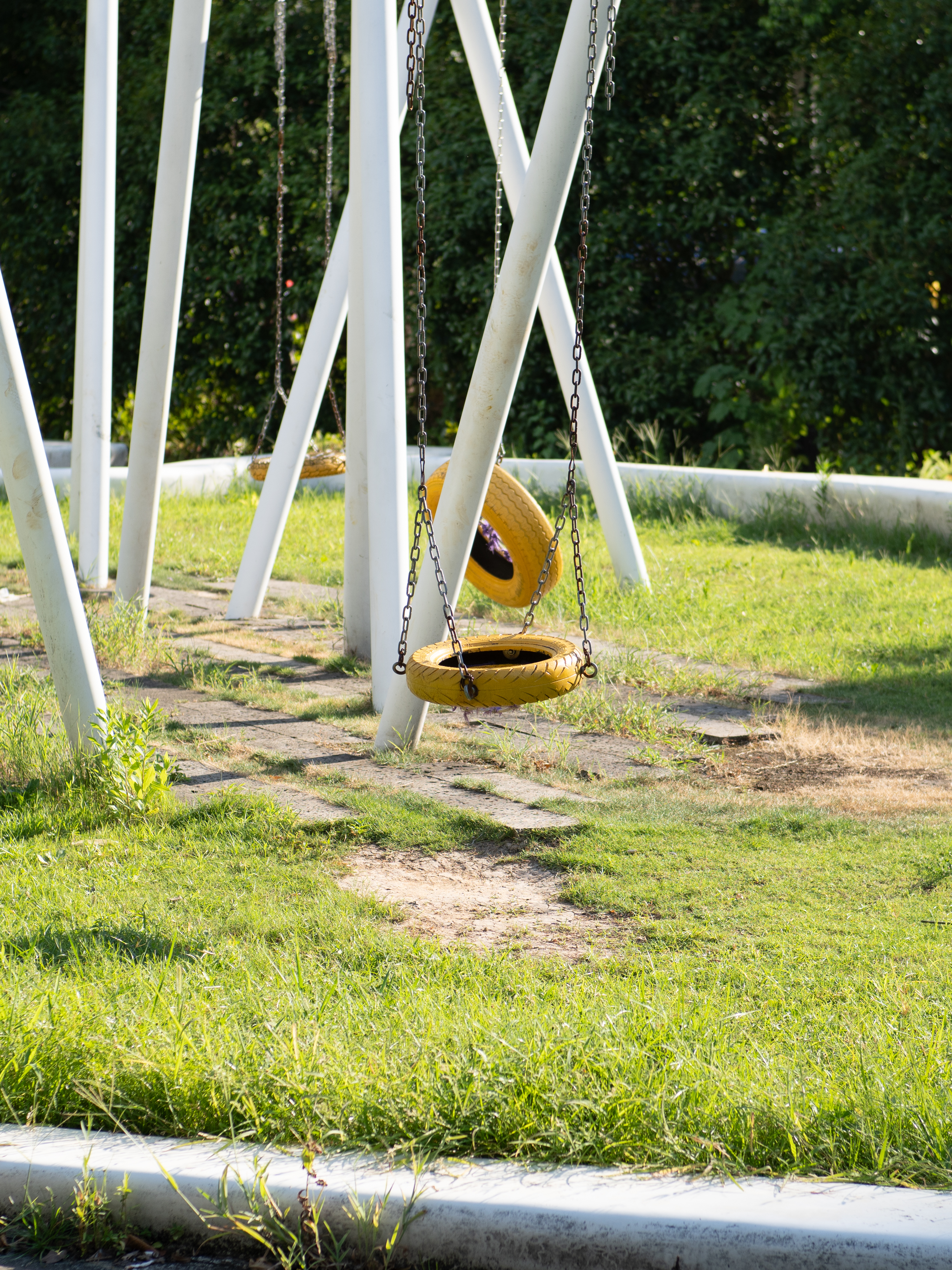 A yellow tire swing, still in the afternoon sun