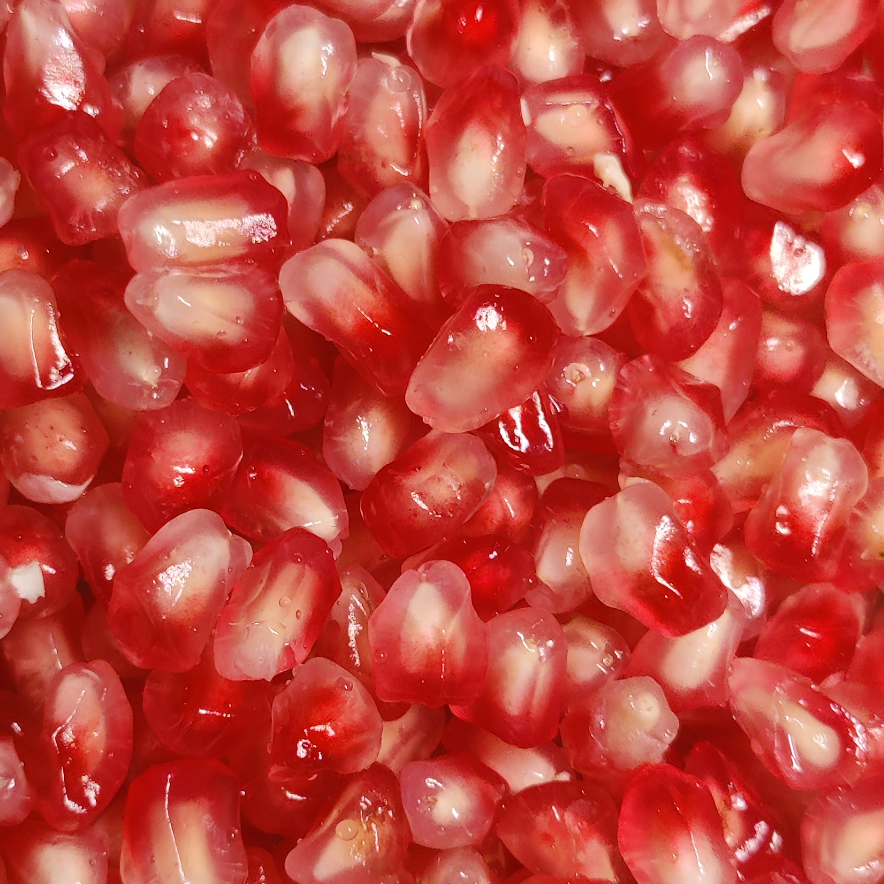 Pomegranate seeds, glistening red and white